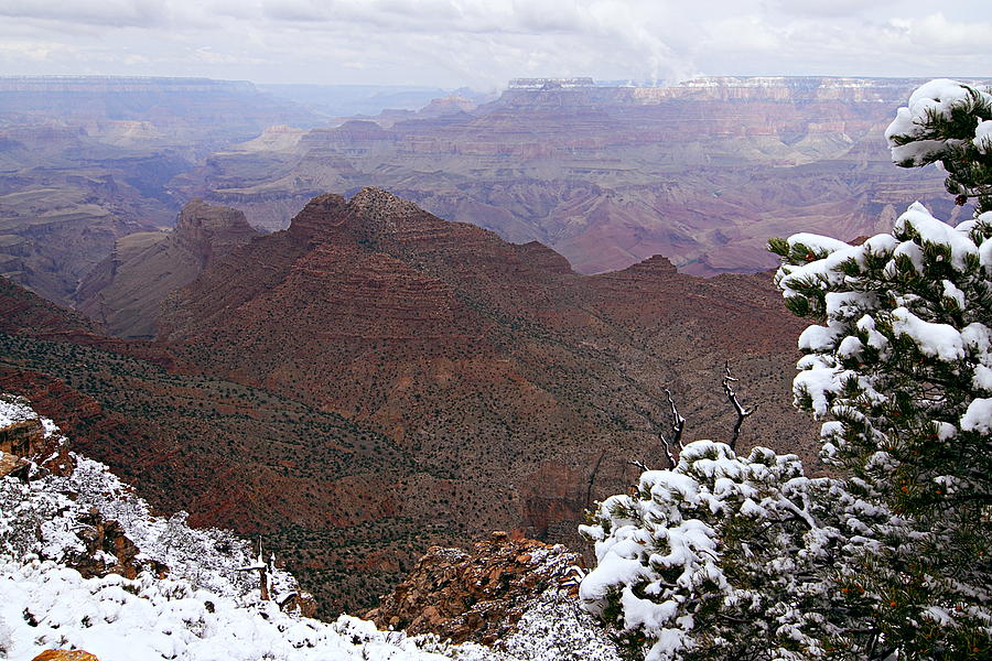 Grand Canyon National Park Photograph - Snowy Vista - Grand Canyon by Larry Ricker