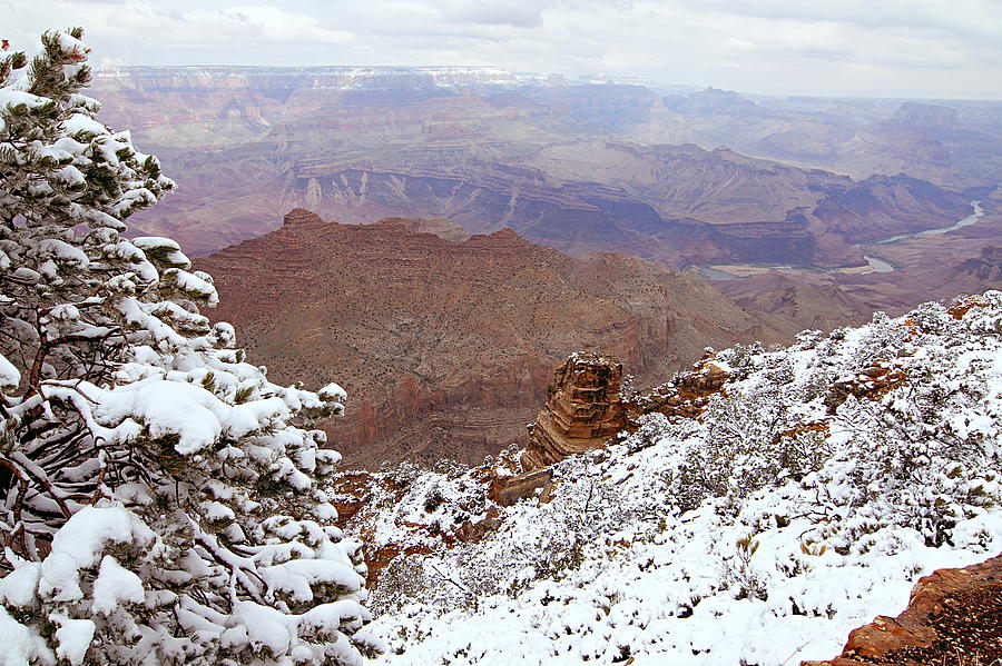 Grand Canyon National Park Photograph - Snowy Vista 2 - Grand Canyon by Larry Ricker