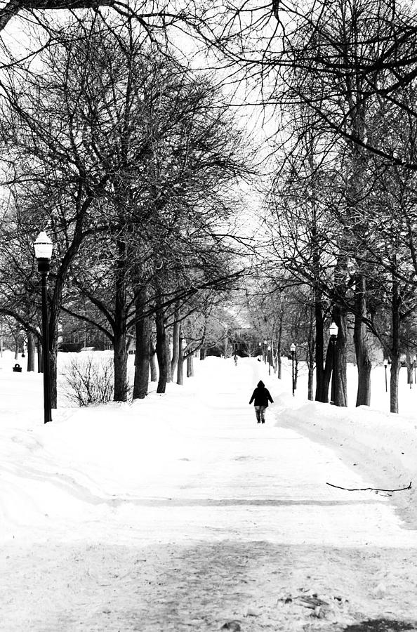 Snowy Walk Photograph by Victory Designs | Fine Art America