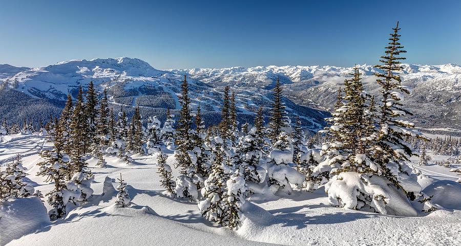 Snowy Whistler Mountain  Photograph by Pierre Leclerc Photography