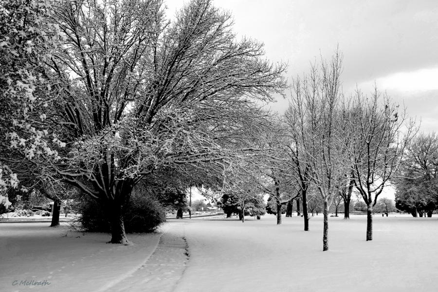 Snowy Winter Path Photograph