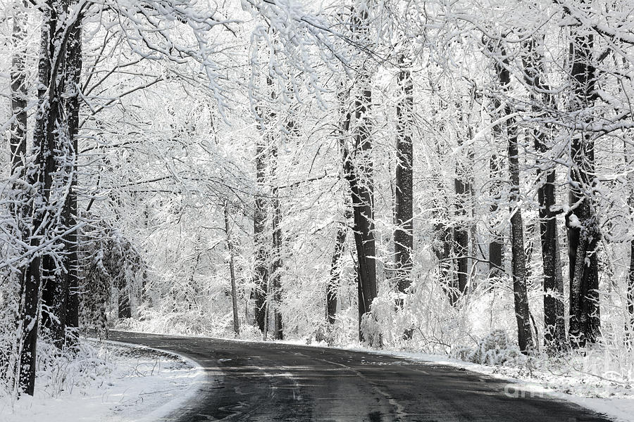 Snowy Winter Road Photograph by Michael Shake - Fine Art America