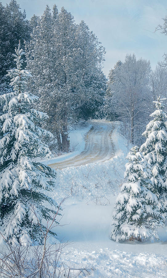 Winter Photograph - Snowy Wisconsin Road by Joan Carroll