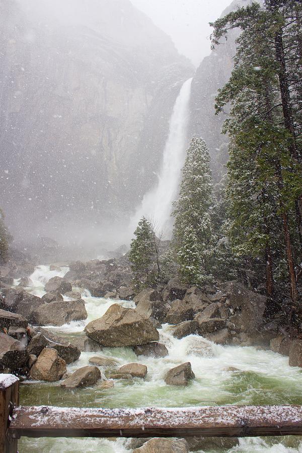 Snowy Yosemite Falls Photograph by Dan Twomey