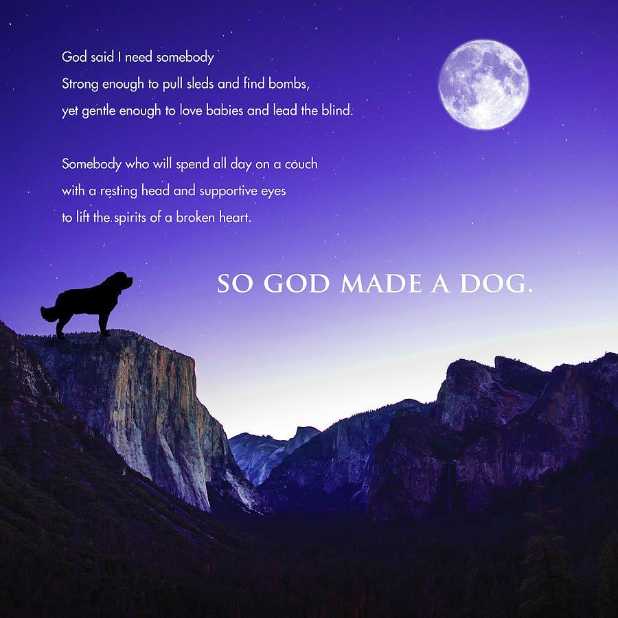 So God Made A Dog Digital Art By Christine Mullis