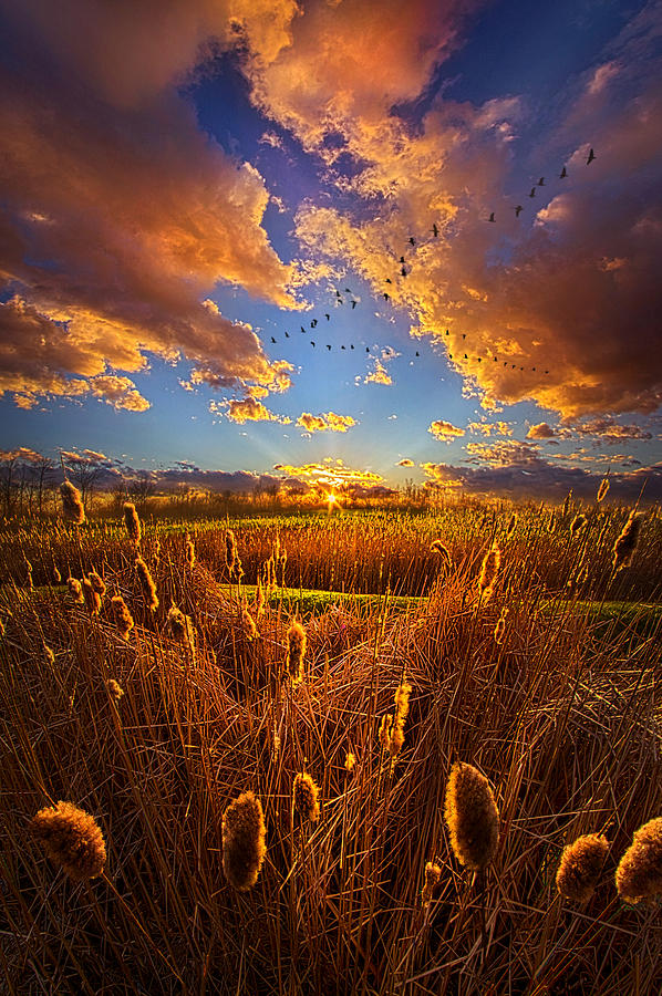 So Long I cant Remember Photograph by Phil Koch