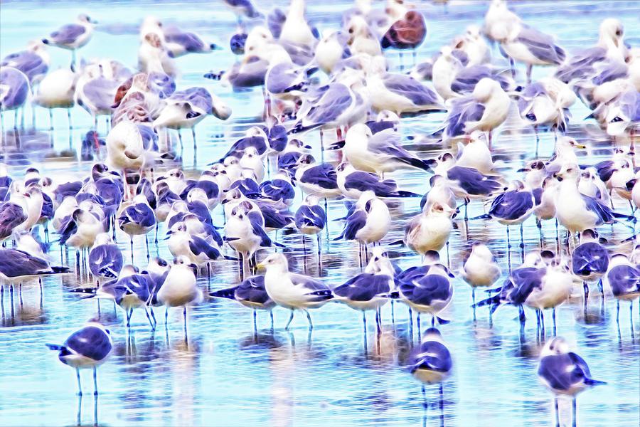 So Many Birds Photograph by Alice Gipson