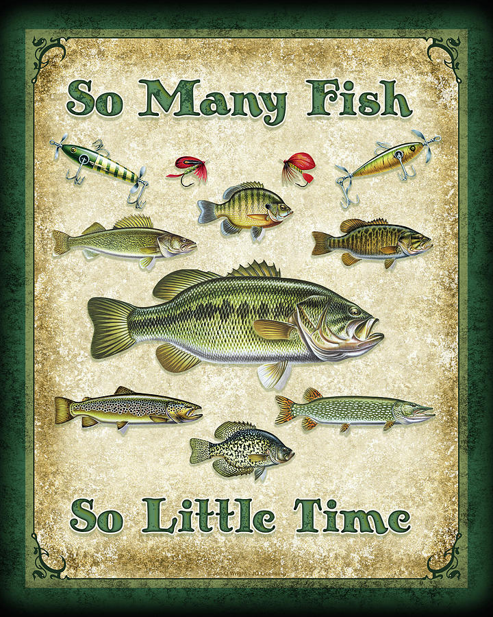 So Many Fish Sign Painting by JQ Licensing