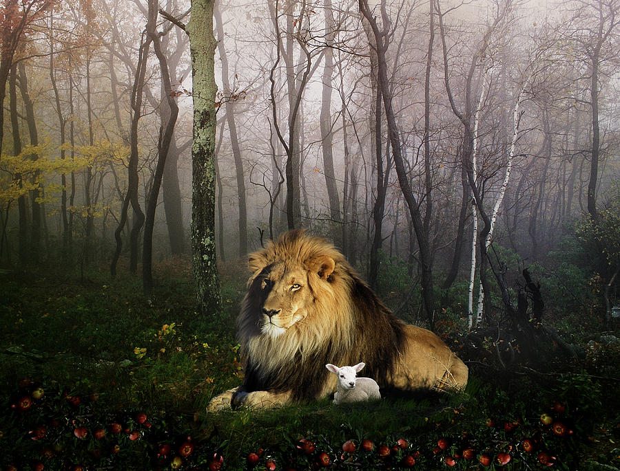 Lion Digital Art - So the Lion Fell in Love with the Lamb by Julie L Hoddinott