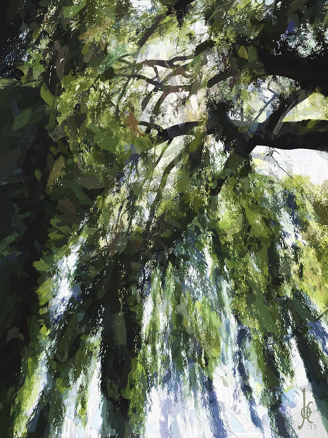 Tree Photograph - So Weeps the Willow by Joe Arsenian
