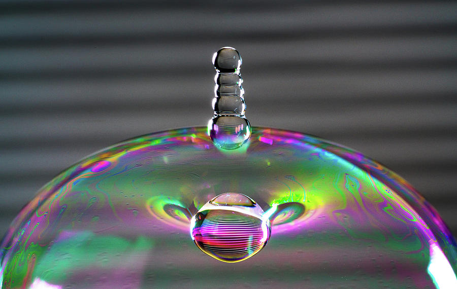 Soap Bubble Drop by Max Neivandt Soap Bubble Drop by Max Neivandt