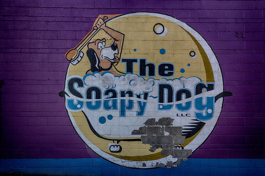 Soapy Dog Digital Art by John Haldane
