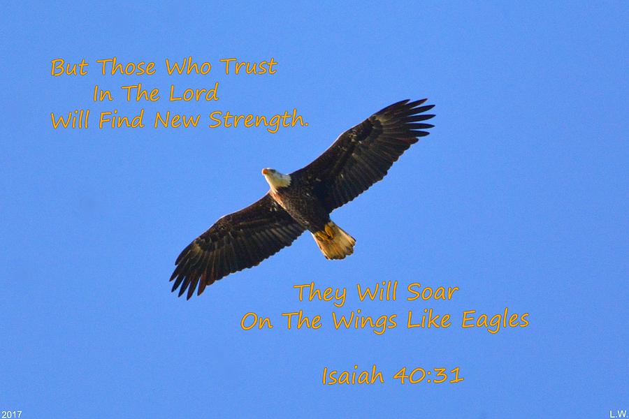 Soar On The Wings Like Eagles Isaiah 40 31  Photograph by Lisa Wooten