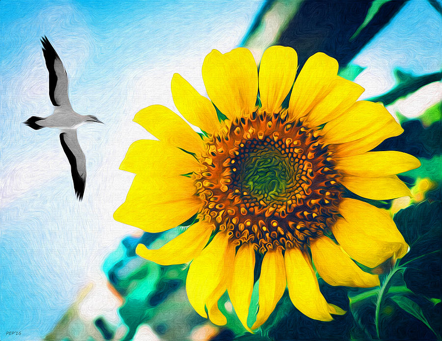 Soaring Bird Sunflower Photograph by Phil Perkins