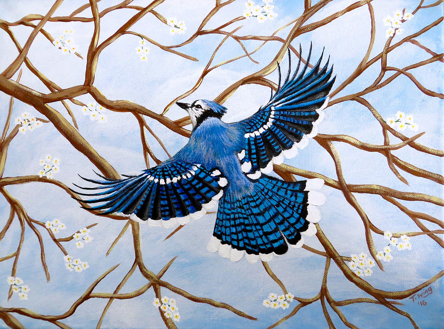 Soaring Blue Jay  Painting by Teresa Wing