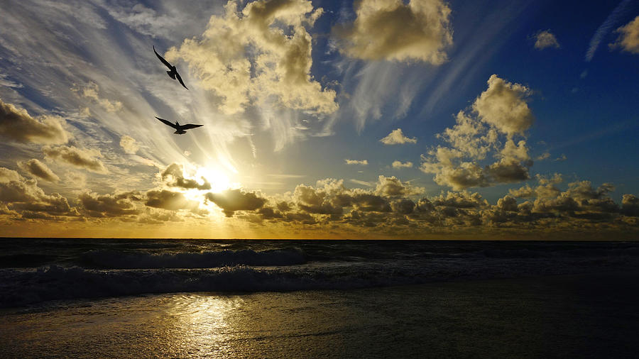 Soaring Sunrise Delray Beach Photograph by Lawrence S Richardson Jr