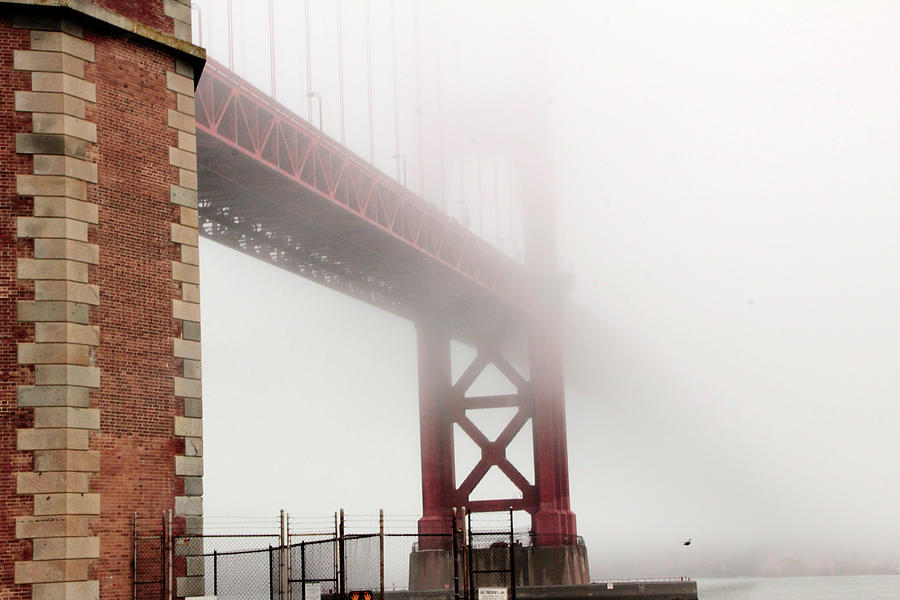 Bridge Into Fog Photograph By Pauline Darrow Fine Art America   Socked In Pauline Darrow 