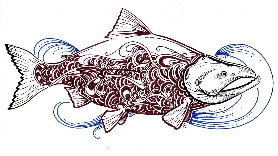 Sockeye Salmon Drawing by Marcus Cline Pixels