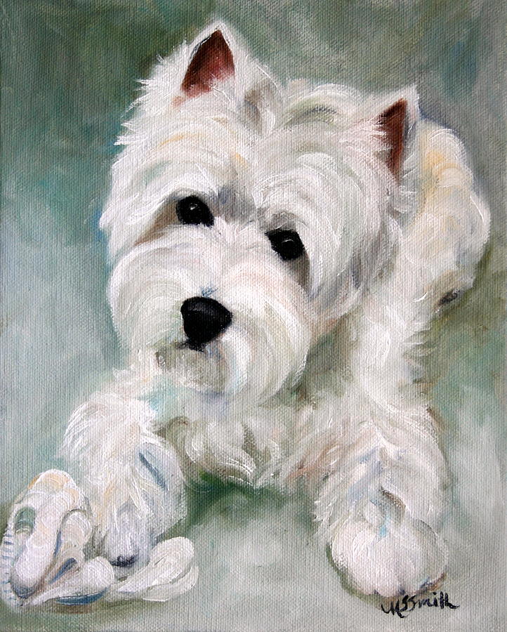 Dog Painting - Socks by Mary Sparrow
