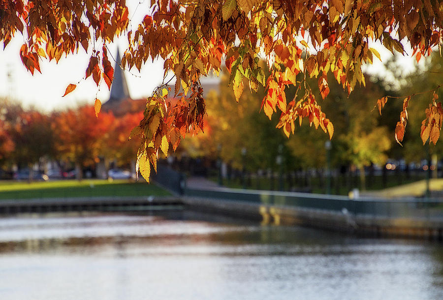 Stockton in Autumn Digital Art by Terry Davis