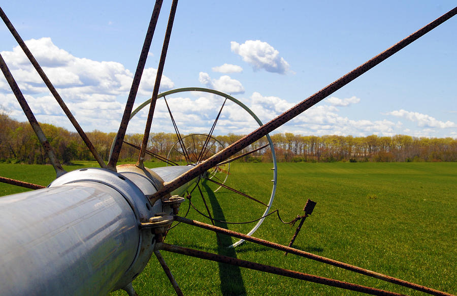 Sod Farm Photograph by Christine Slattery-Friberg - Pixels