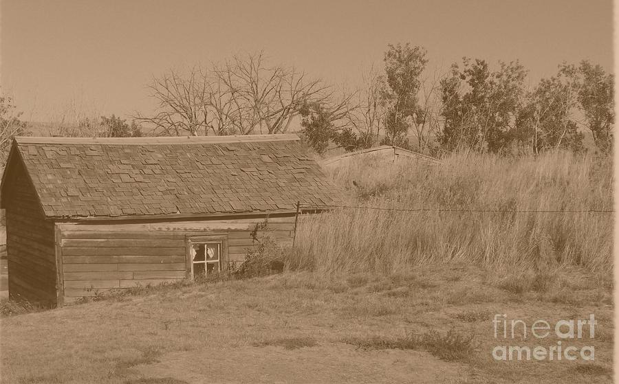 Sod House Photograph by Charles Robinson