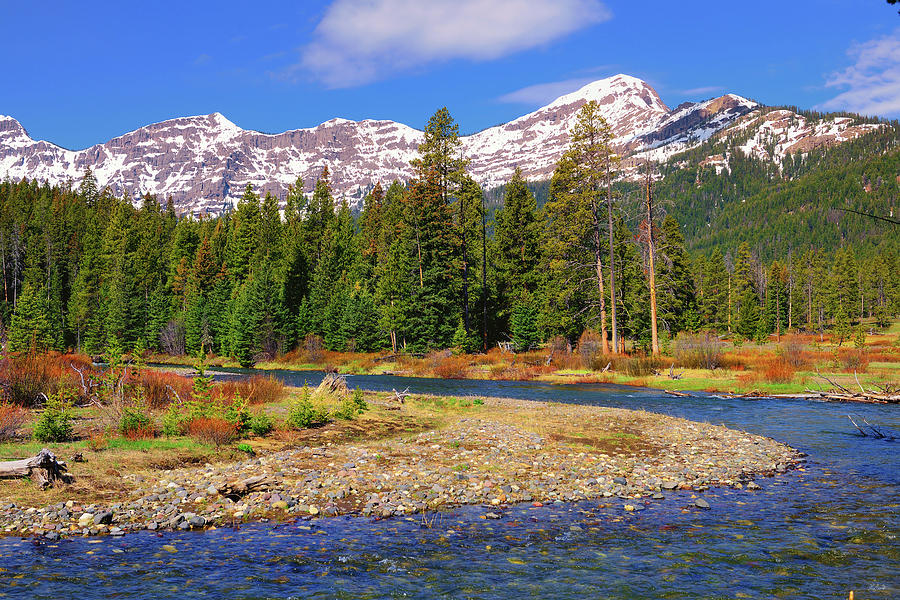 Soda Butte Creek Photograph by Greg Norrell