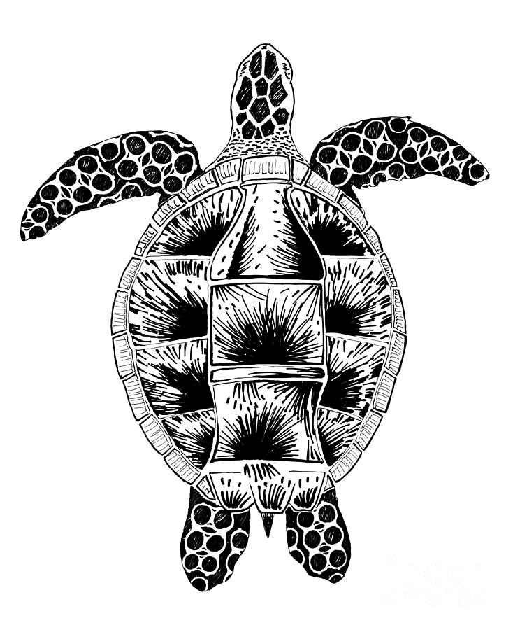 Soda Turtle Sea Turtle great tshirt image Drawing by Adam Long