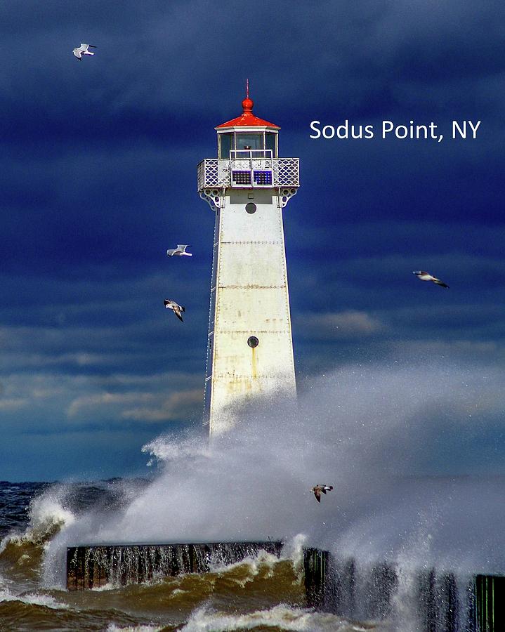 Sodus Point Lighthouse 2 Photograph by Mary Courtney