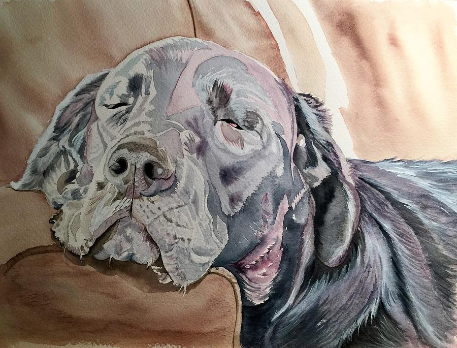 Dog Painting - Sofa Sleeper by Sonja Jones