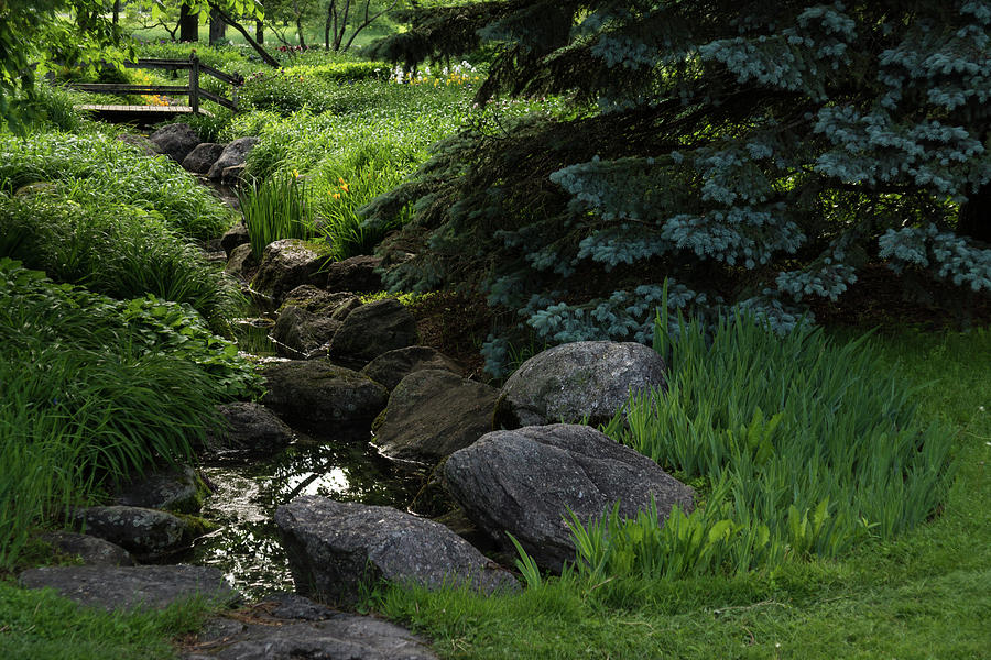 Soft Babble - Miniature Creek Through a Beautifully Landscaped Garden Photograph by Georgia Mizuleva