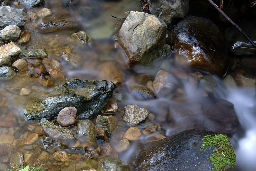 Soft Creek on Tam #2 Photograph by Ben Upham III