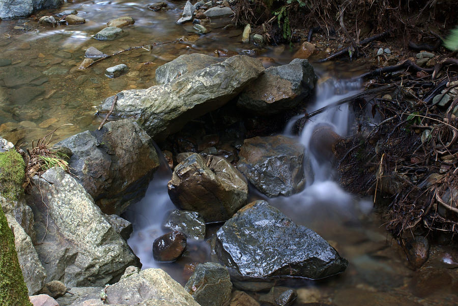 Soft Creek on Tam #3 Photograph by Ben Upham III