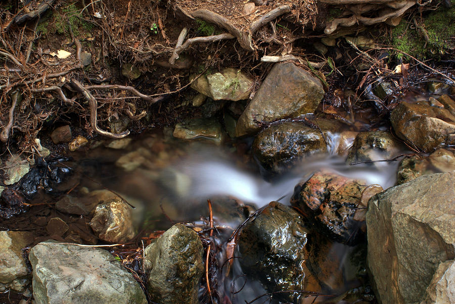 Soft Creek on Tam #4 Photograph by Ben Upham III