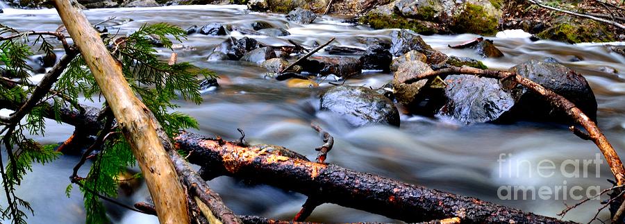 Creek Photograph - Soft Creek by Phil Dionne
