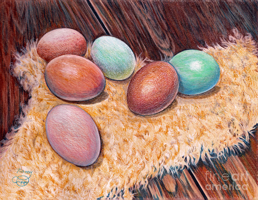Soft Eggs Drawing by Nancy Cupp