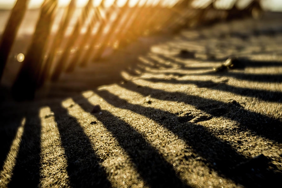 Soft Focus Sun Rise Though Dunes Fence Photograph by Sven Brogren