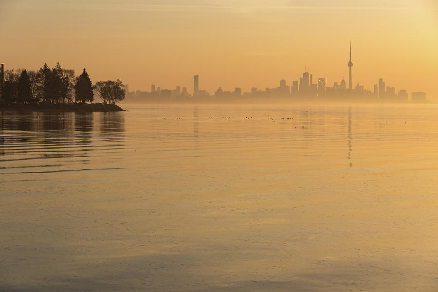 Soft Gold - Toronto Skyline in Velvety Morning Mist Photograph by Georgia Mizuleva