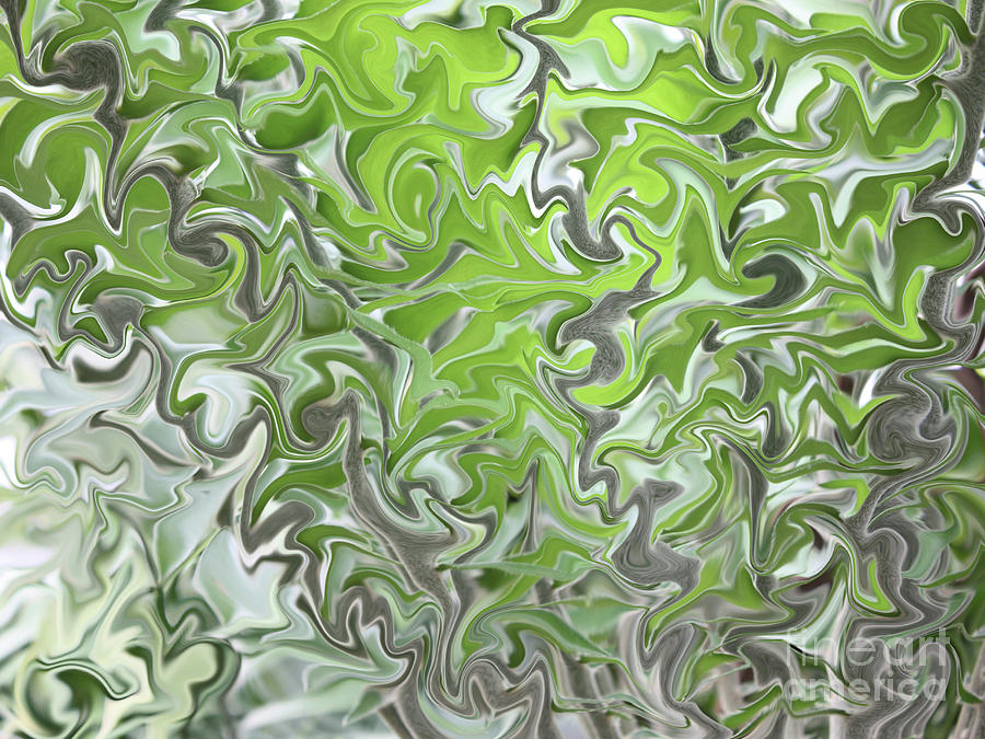 Soft Green and Gray Abstract Photograph by Carol Groenen