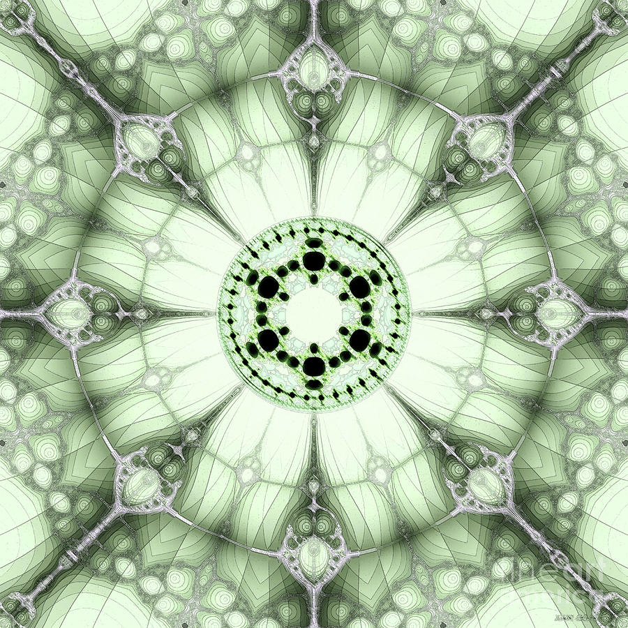 Soft Green and Gray Kaleidoscope  Digital Art by Elizabeth McTaggart