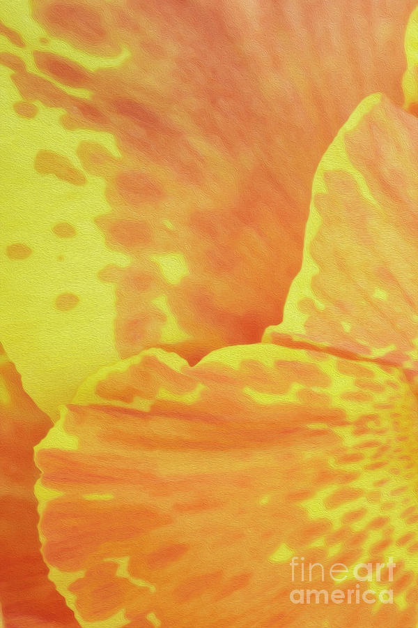 Soft hibiscus Painting by Kiran Joshi