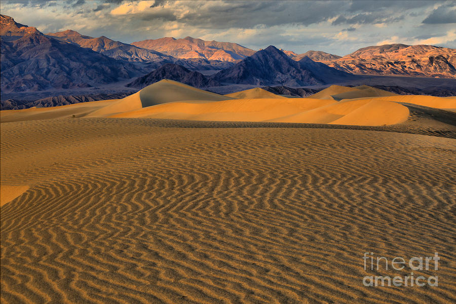 Death Valley National Park Photograph - Soft Light Soft Curves by Adam Jewell