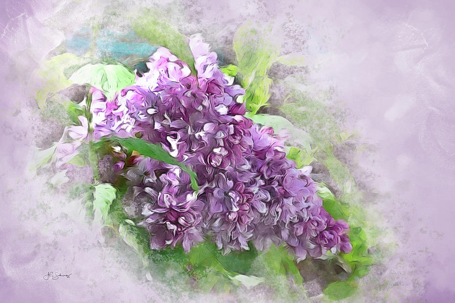 Nature Photograph - Soft Lilac by Allyson Schwartz