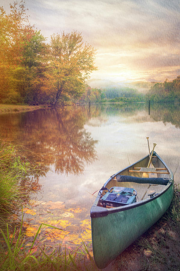 Soft Papery Fallen Leaves at Dawn Photograph by Debra and Dave ...