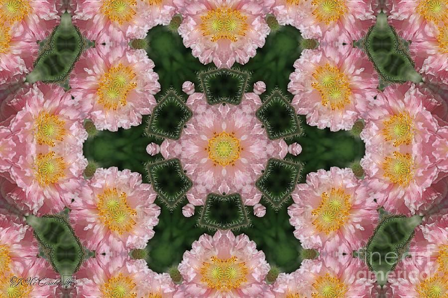 Soft Pink and White Angels Choir Mandala Digital Art by J McCombie