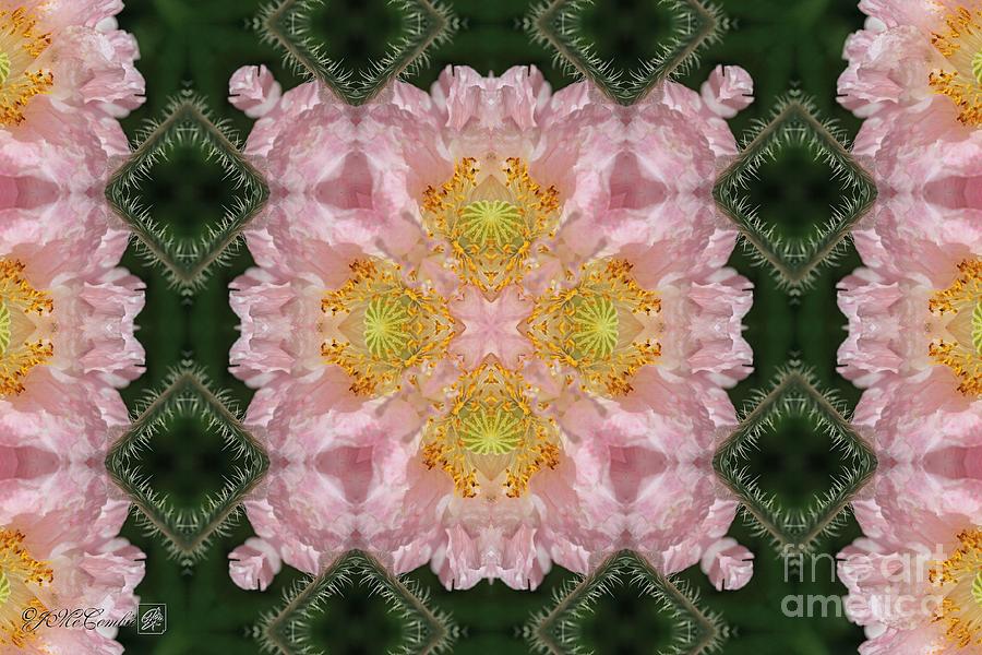 Soft Pink and White Angels Choir Abstract #2 Digital Art by J McCombie