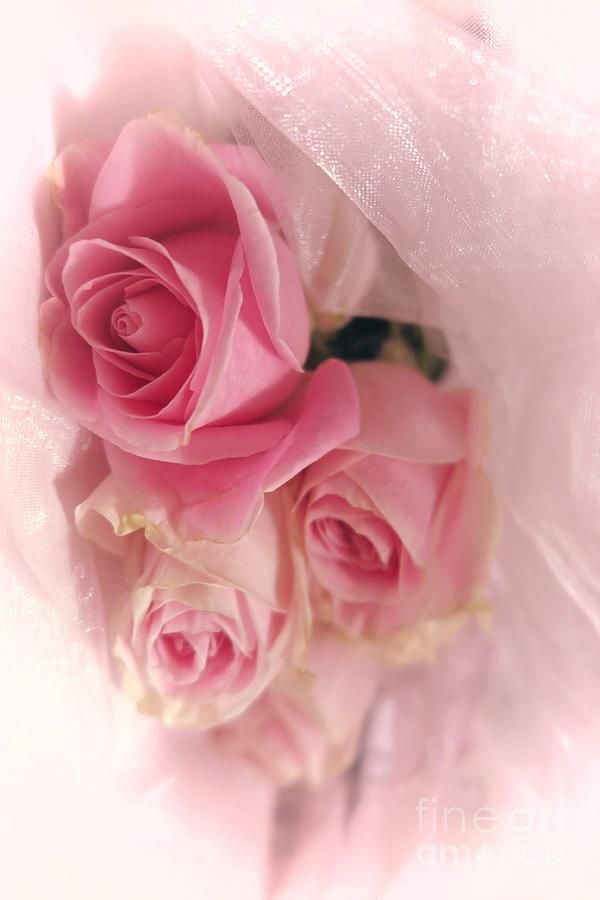 Soft Pink Roses 1 Photograph by Tara Shalton