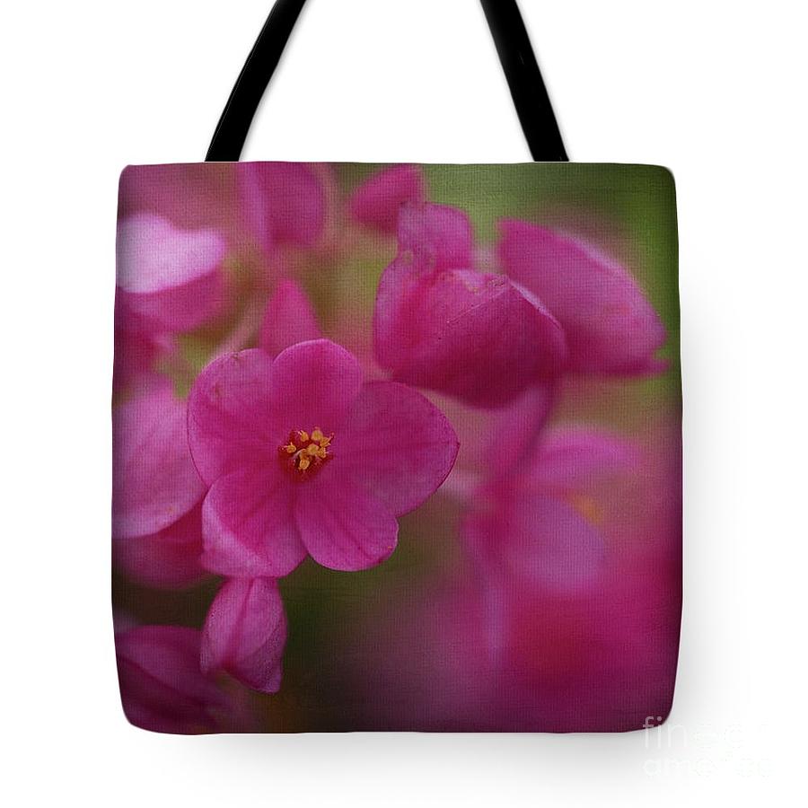 Soft Pink Tote Photograph by Teresa Wilson