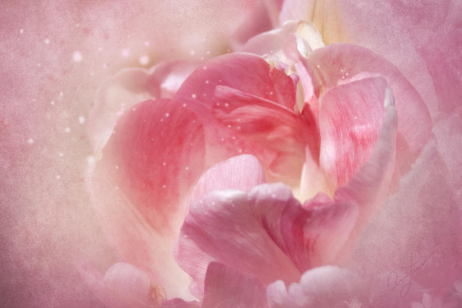 Soft Pink Tulips by Ann Lauwers Soft Pink Tulips by Ann Lauwers