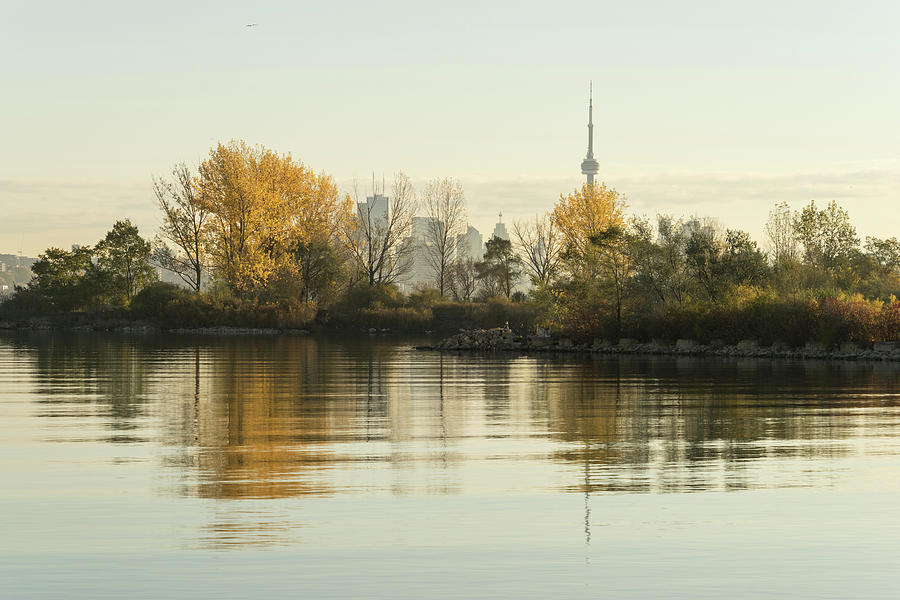 Soft Silky Ripples - Toronto Skyline Through the Trees Photograph by Georgia Mizuleva